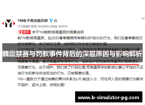 魏震禁赛与罚款事件背后的深层原因与影响解析
